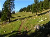 Za Ušivcem - Kapela Marije Snežne (Velika planina)